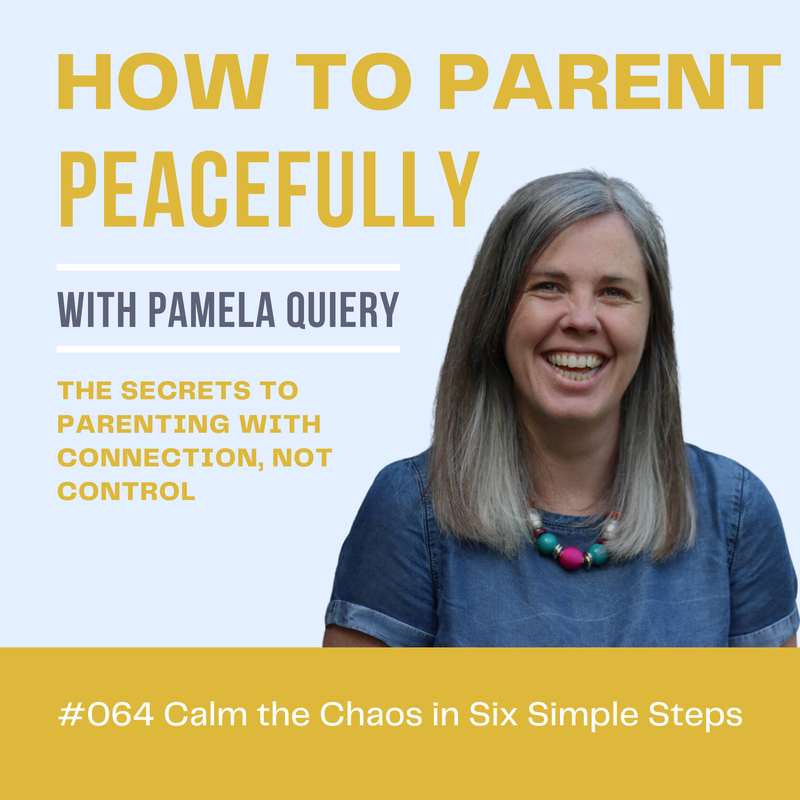 #064 Calm the Chaos in Six Simple Steps